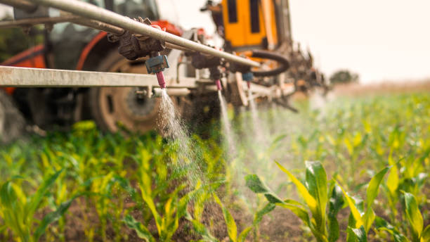 Professional Pest Control in Asbury, IA